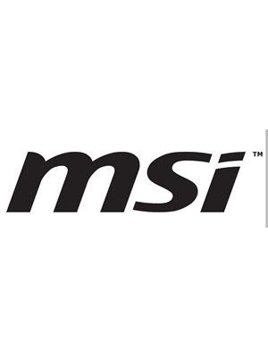 MSI